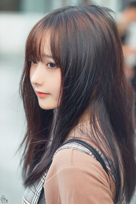 日韩二三区